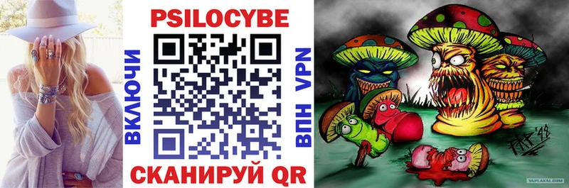 купить Аргун Псилоцибиновые грибы Psilocybine cubensis